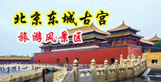 男生的屌操女生的逼中国北京-东城古宫旅游风景区